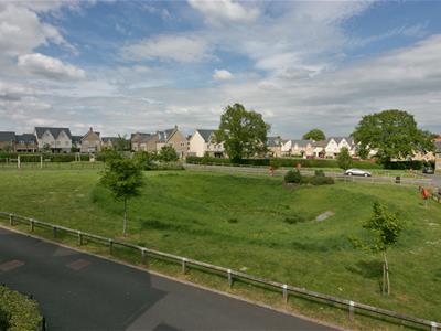 Picture 19